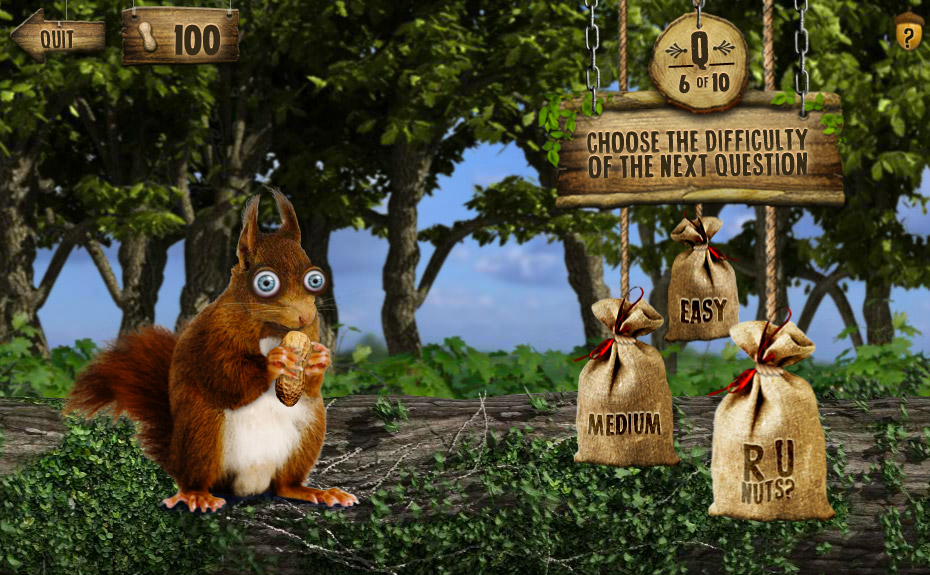 Squirrel image
