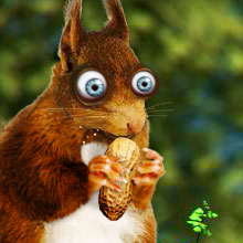 Playlist Squirrel